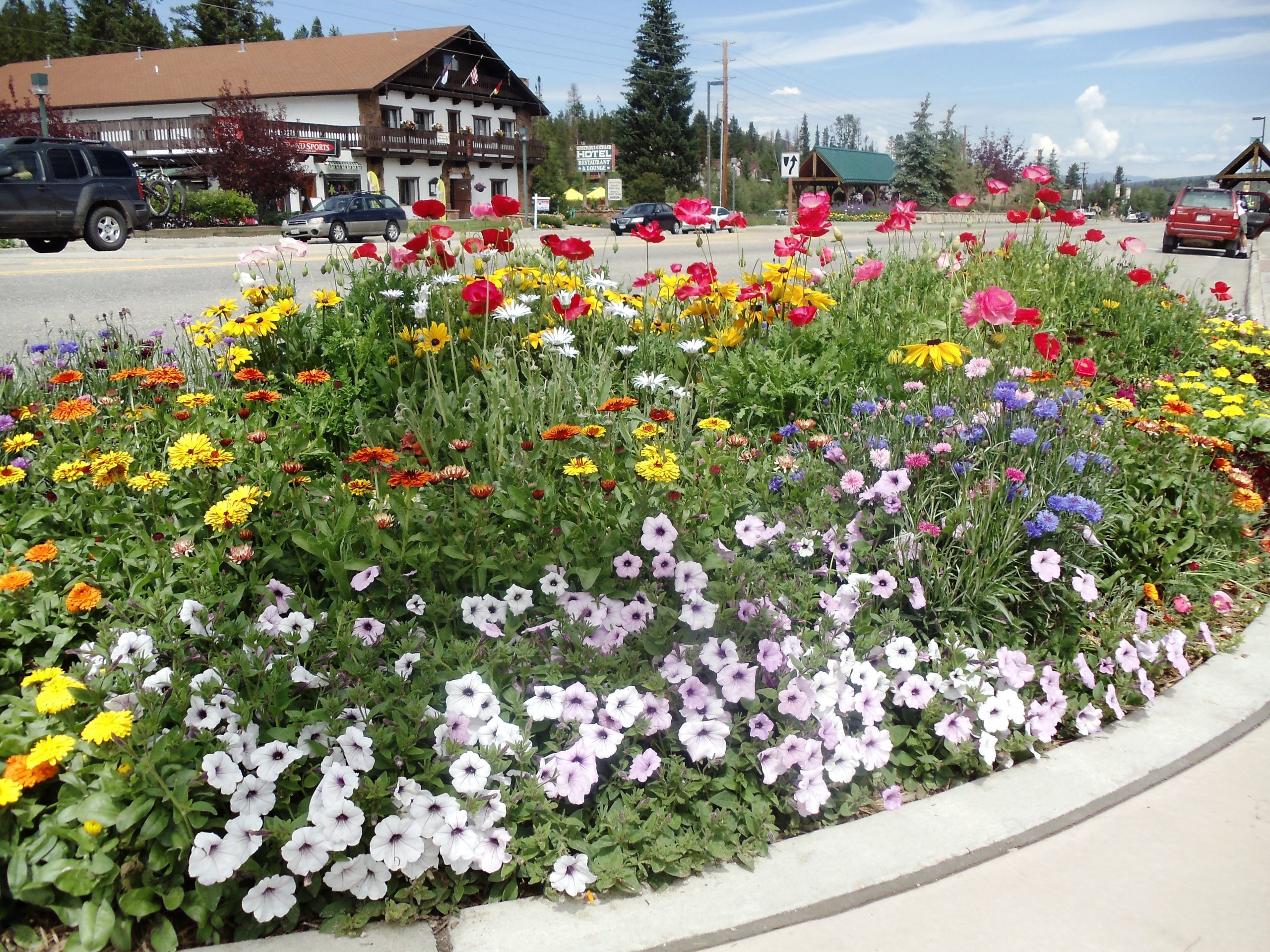 flower garden