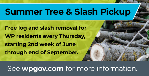 Summer Tree & Slash Pickup