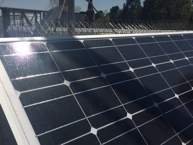 Climate Action Program